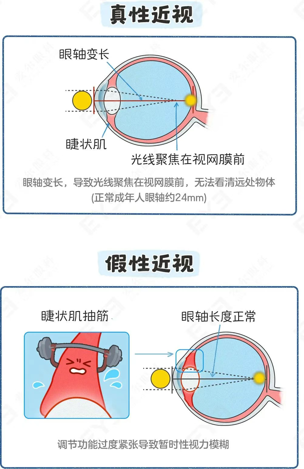 圖片.png